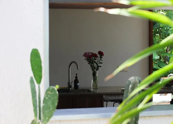 Modern Wellness Retreat Icebath Pool Zen Patio Villa