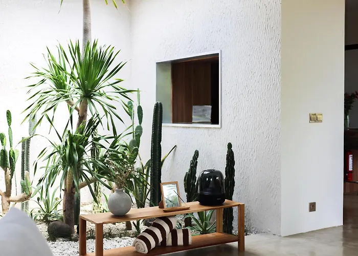 Modern Wellness Retreat Icebath Pool Zen Patio Villa *