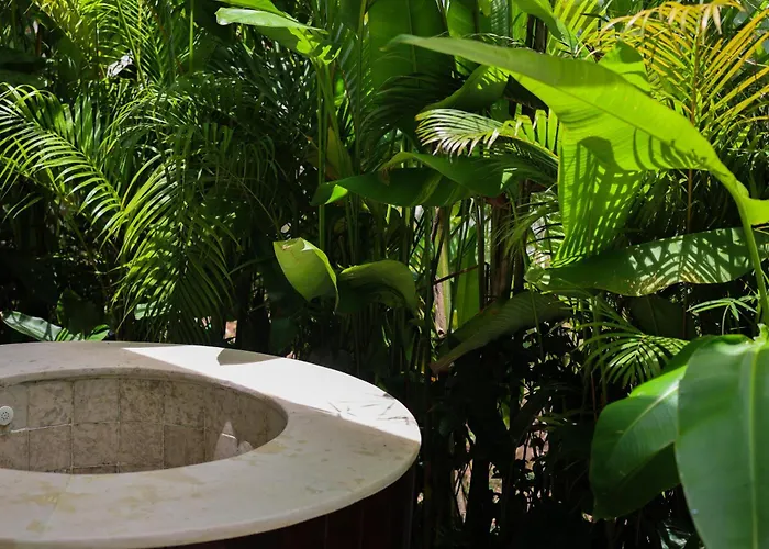 Modern Wellness Retreat Icebath Pool Zen Patio Villa *
