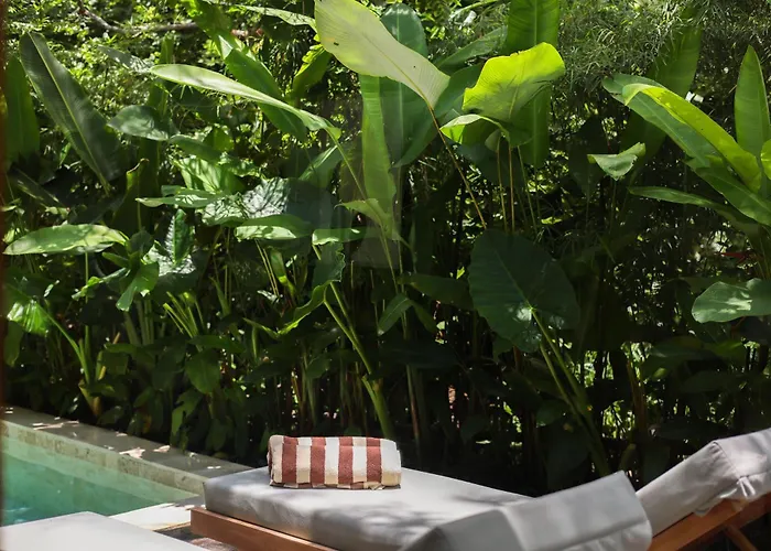 Modern Wellness Retreat Icebath Pool Zen Patio Villa Uluwatu