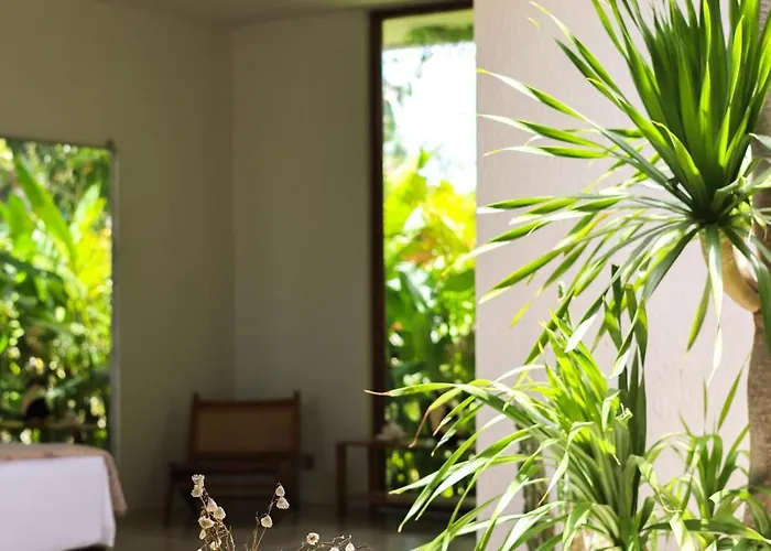 Villa Modern Wellness Retreat Icebath Pool Zen Patio Uluwatu